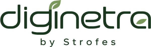 DigiNetra by Strofes