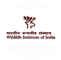 Wildlife Institute of India logo